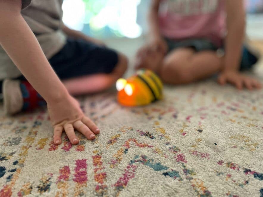 2025 Australian Small Business Champion Awards