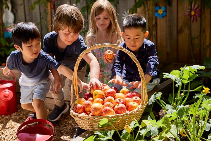 Start Small, Dream Big grants on offer to celebrate 20th anniversary of Kitchen Gardens