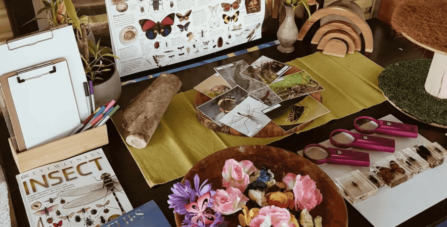 ECEC Provider in Focus: Growing Minds Family Day Care