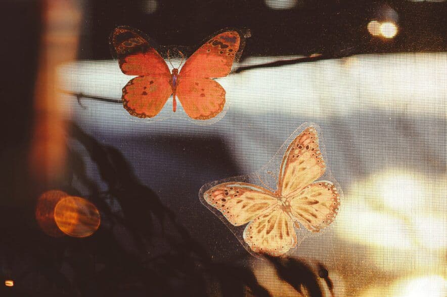 Parents across the City of Casey supported with new Early Parenting Centre