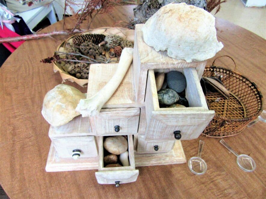 Preschool for three year olds hits new milestone in South Australia