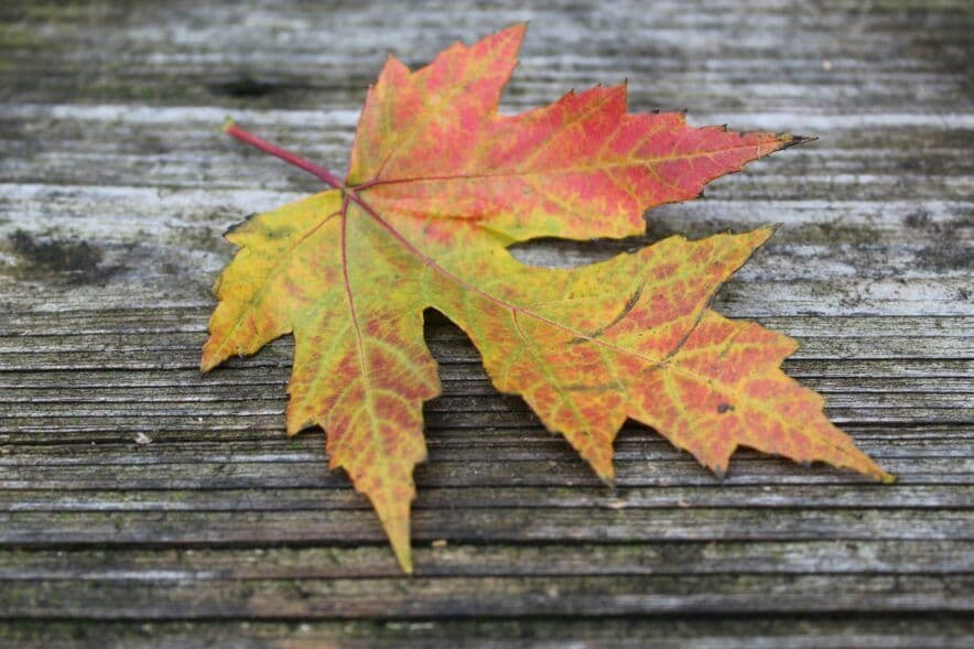 6 figure salaries on offer for educators who are willing to go west