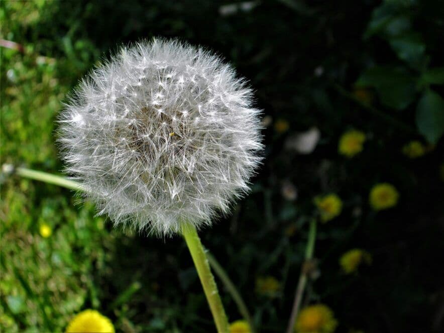 Katie’s dream run: a house, trainee of the year, and ECEC scholarship