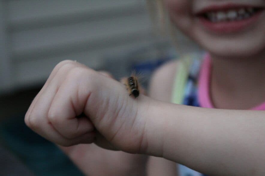 Victorian Government announces grants to improve child wellbeing and safety