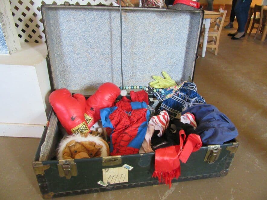 TQI registration made free for the ACT’s early childhood teachers