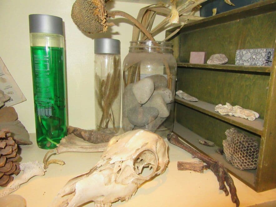 Teachers given more opportunities to professionally grow with NESA changes