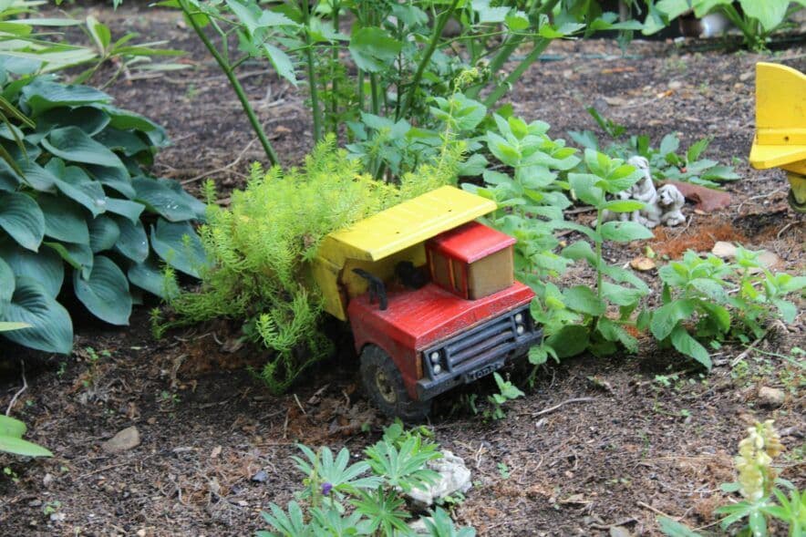 Growing up in economically advantaged neighborhoods impacts infant brains