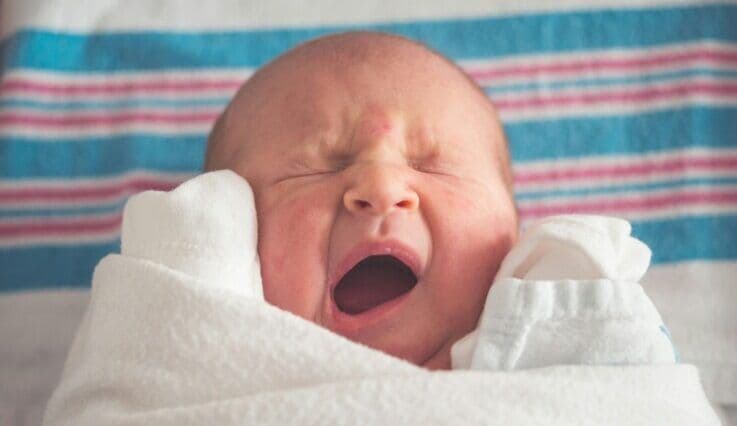 Calls for more accessible low-cost IVF and what it means for early childhood education and care