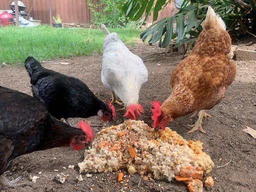 Nido Seven Hills pursues meaningful sustainability through shared waste scheme