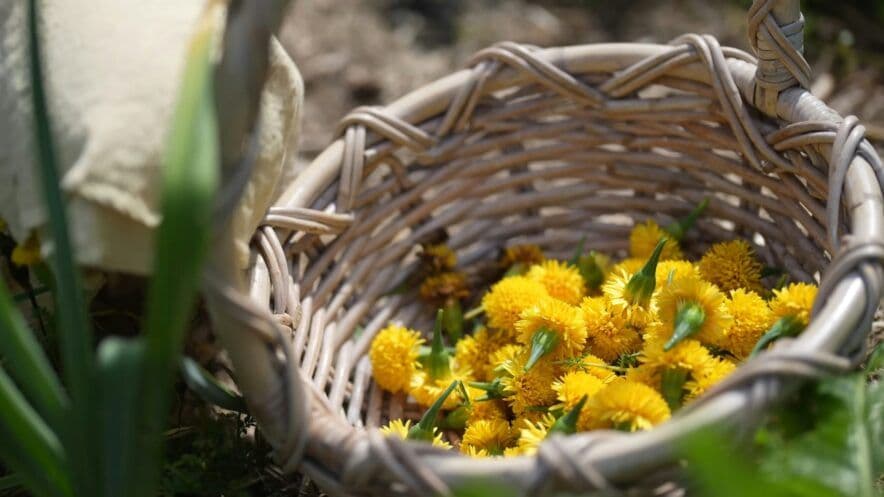 Productivity Commission charts the costly path to universal early childhood education