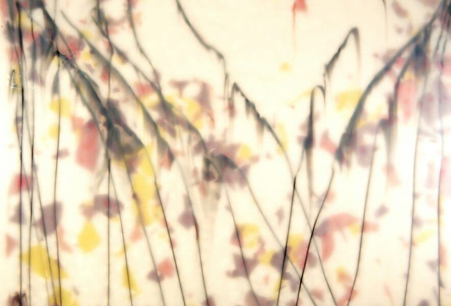 Finalists announced in the ECLD Sector Awards