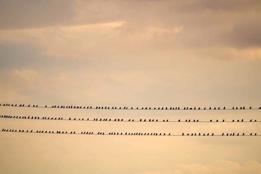 Low income families will have better access to early learning through 3 day guarantee