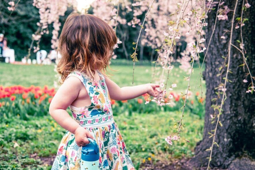 Are you, or do you have, a casual employee? Make a note of the Fair Work Law changes