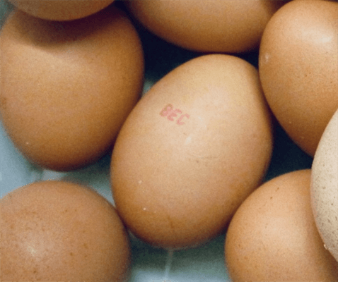 Salmonella is no yolk – check your eggs ECEC, NSW Food Authority warns