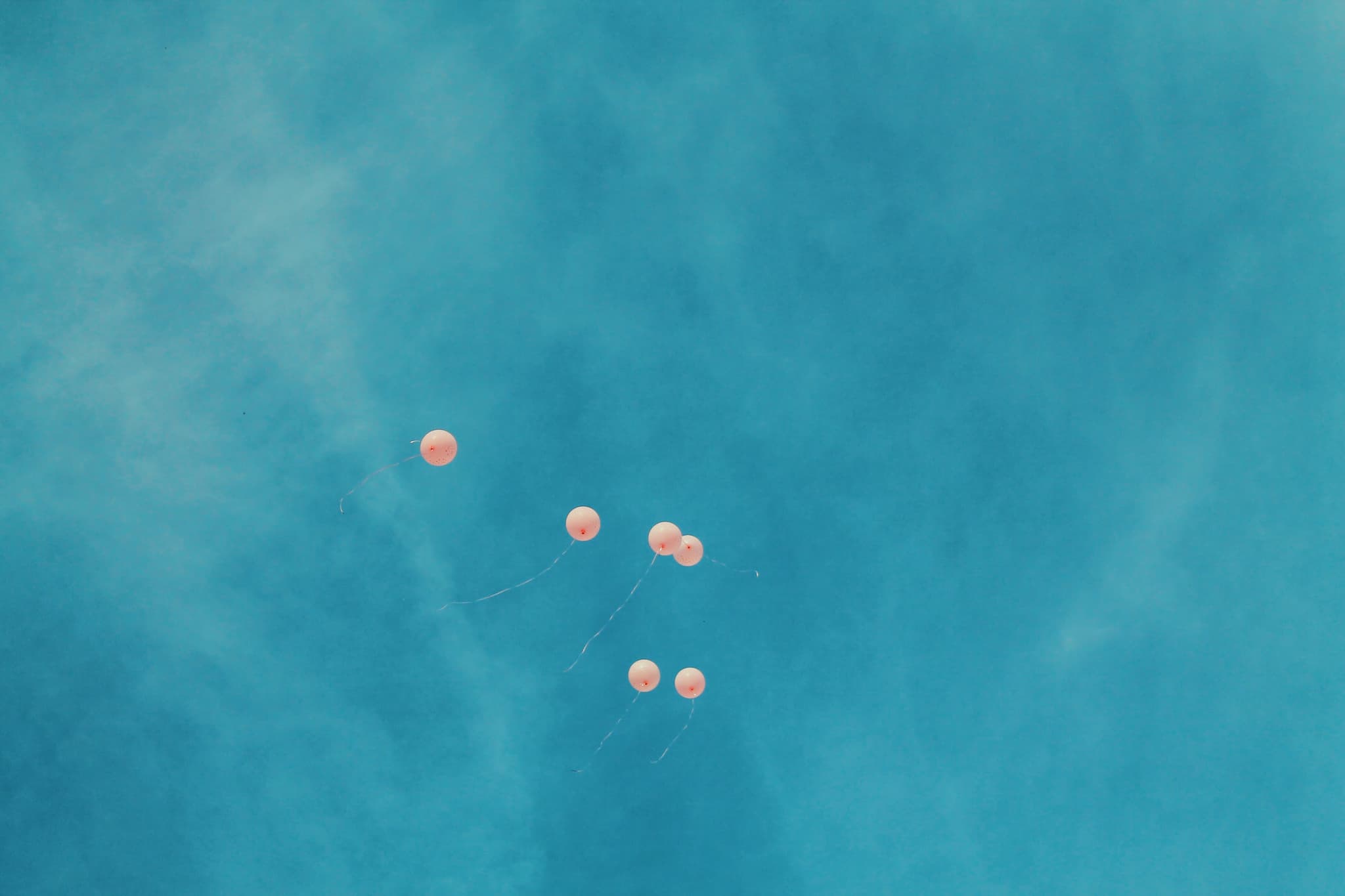 No consensus from ECEC Peak Bodies on new ‘Return to CCS’ roadmap