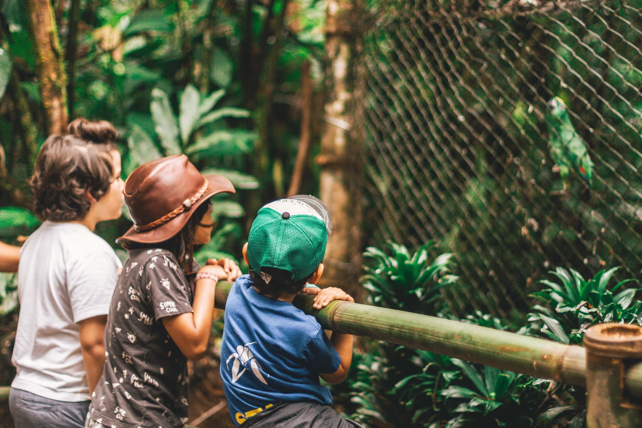 South Australia reforms Education Act, giving new protections to preschool staff