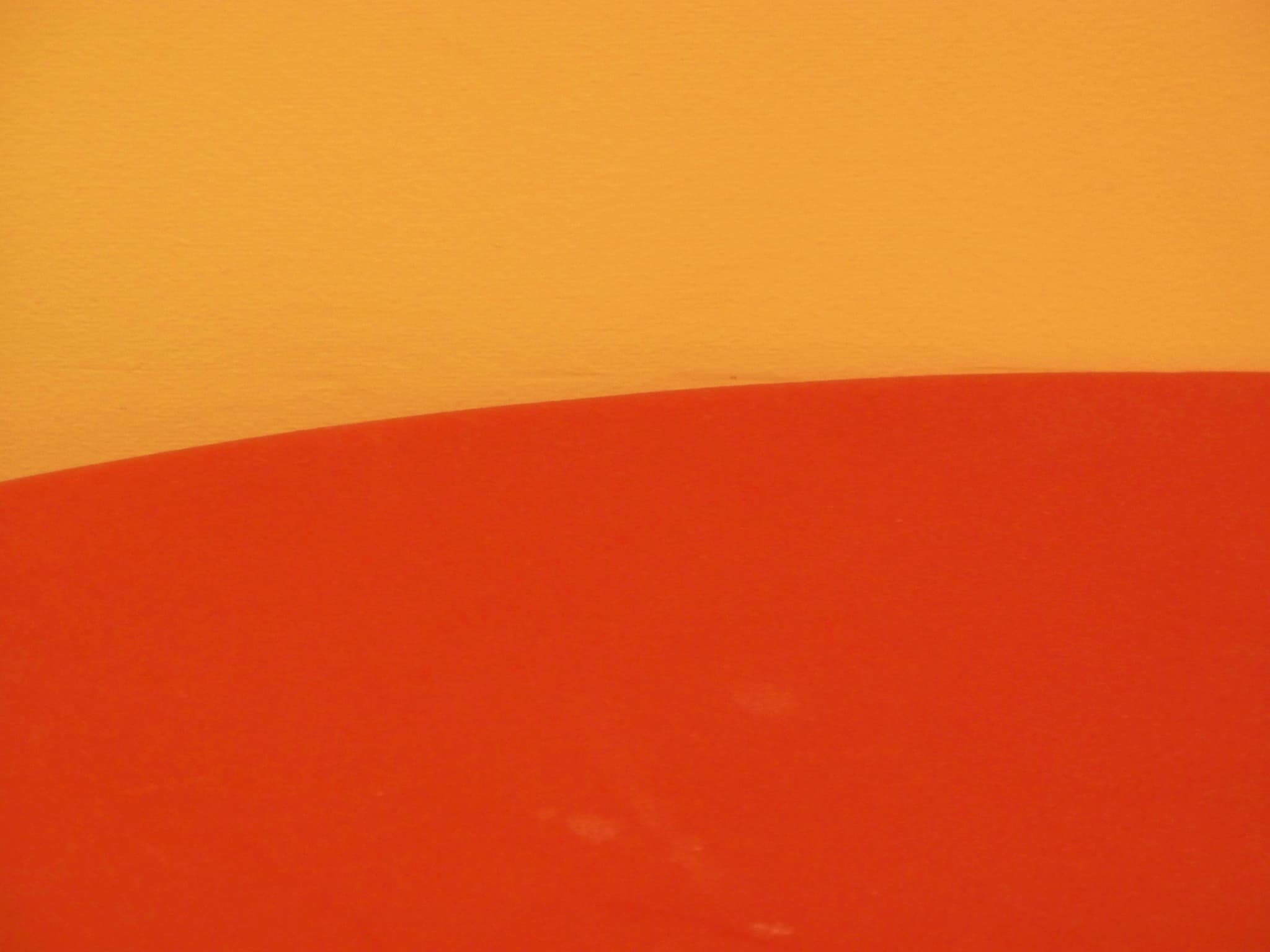 SNAICC CEO resigns – stays focused on supporting children