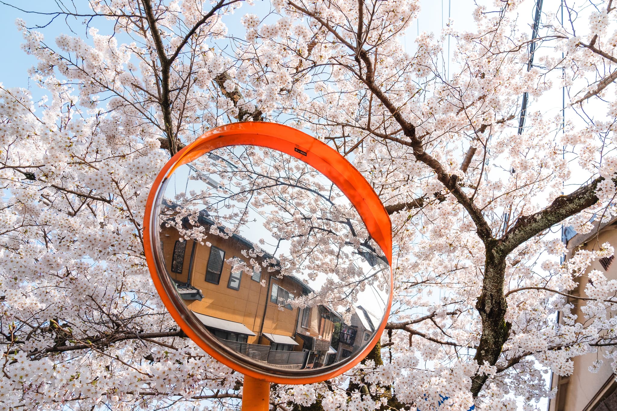 DoE to explore support system for 430 FDC providers in SA