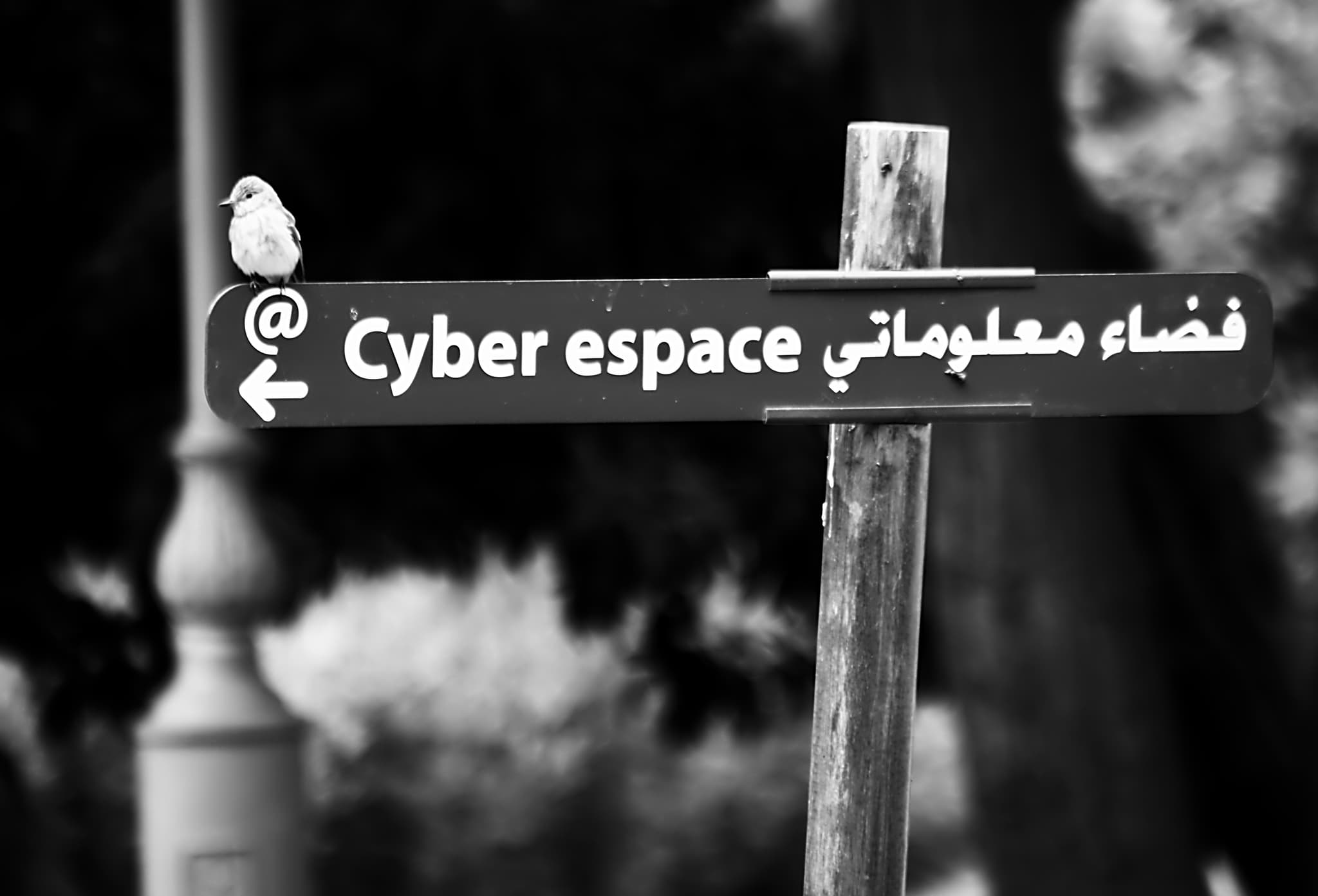 OSHC children struggling with bullying, parents find it tricky to help