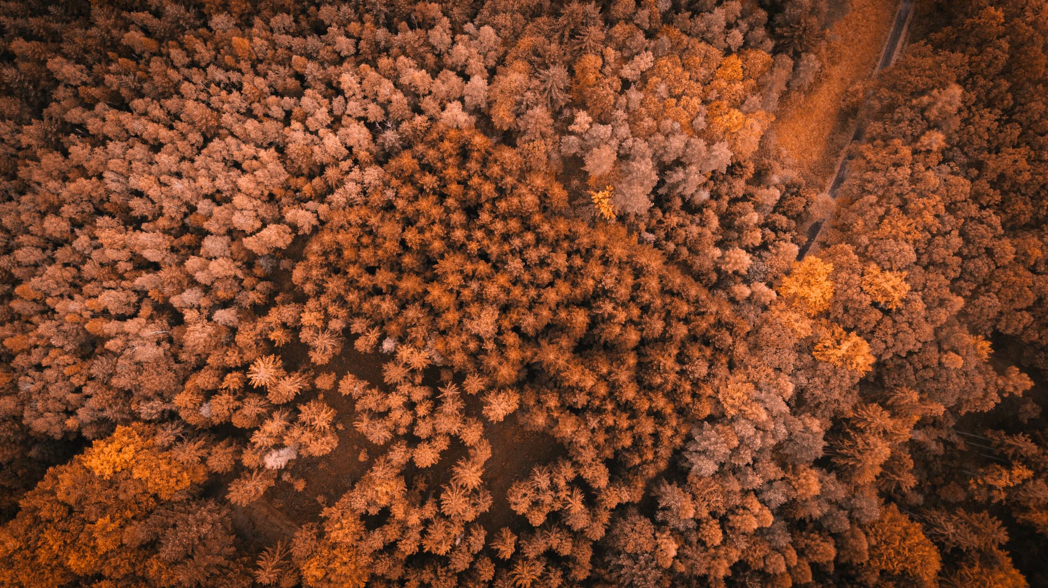 First Nations children’s rights need more recognition – SNAICC