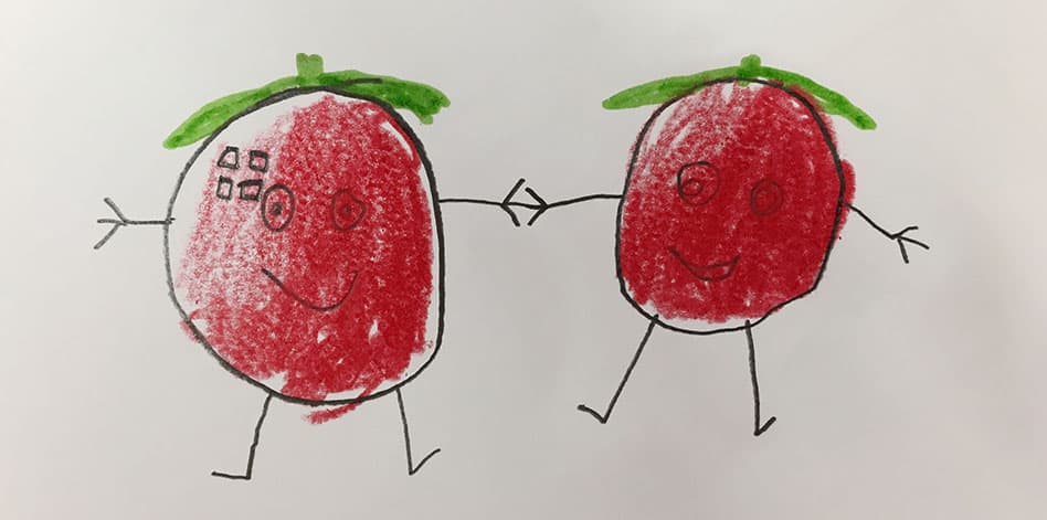 Kitchen garden classrooms switch to home mode to support those self isolating