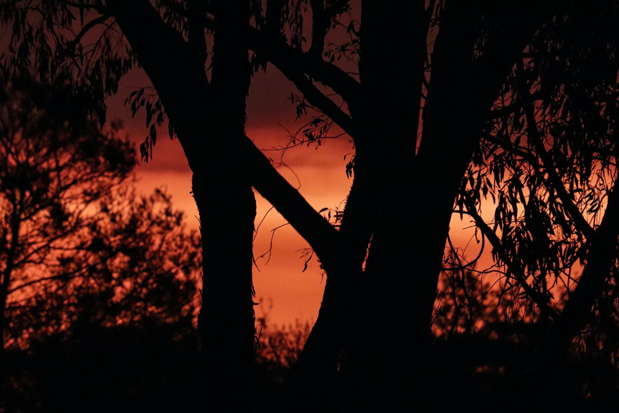 New Bill “an historic piece of legislation recognising traditional child rearing practices”