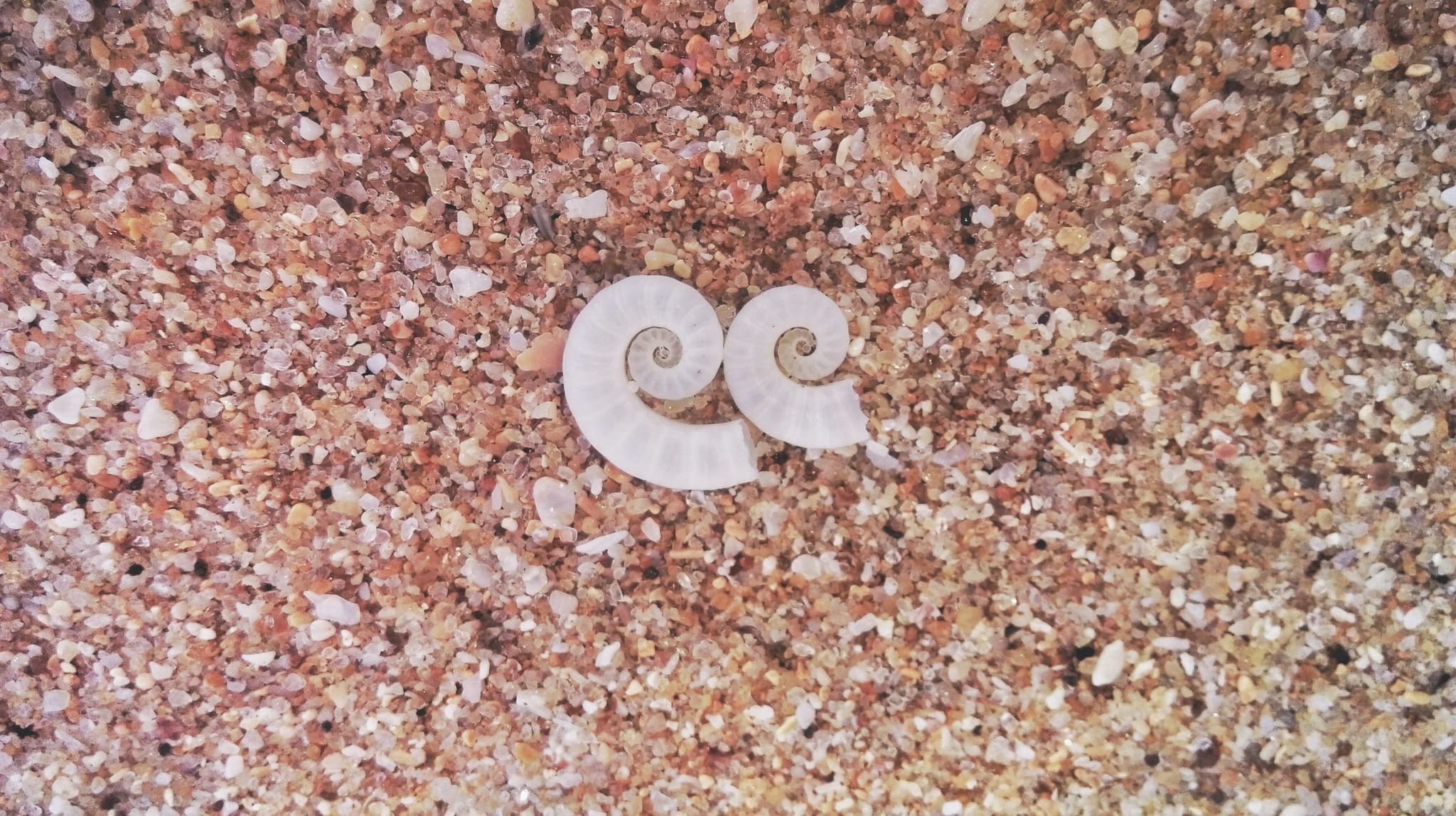 NSW Regulatory Authority issues advice on maintaining ratio