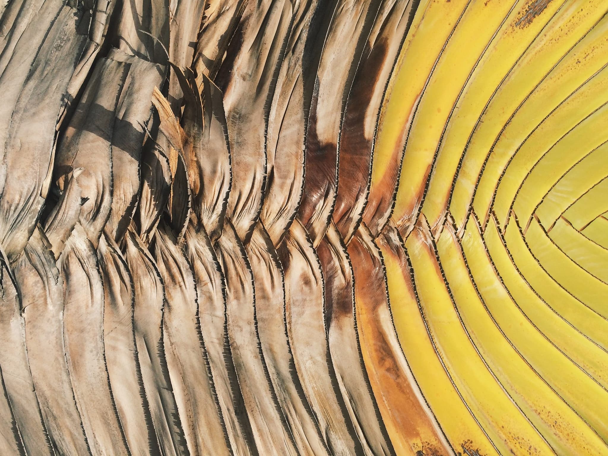 Danish study shows childhood adversity increases the risk of a shorter lifespan