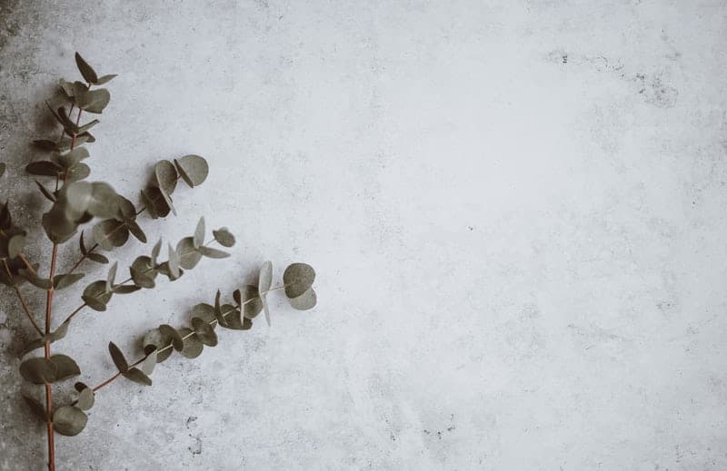 Quality improvement remains evident despite fall COVID-19, says latest ACECQA snapshot