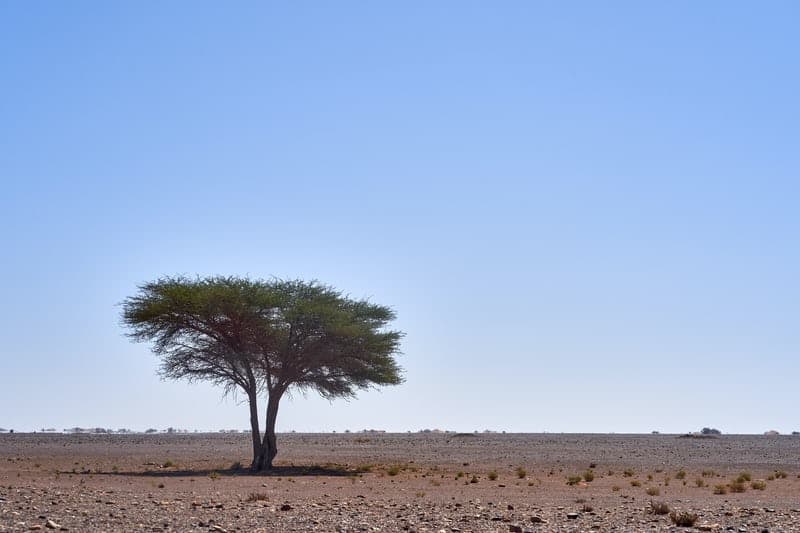 ECEC Peak Bodies not aligned in responses to latest VIC Rescue package