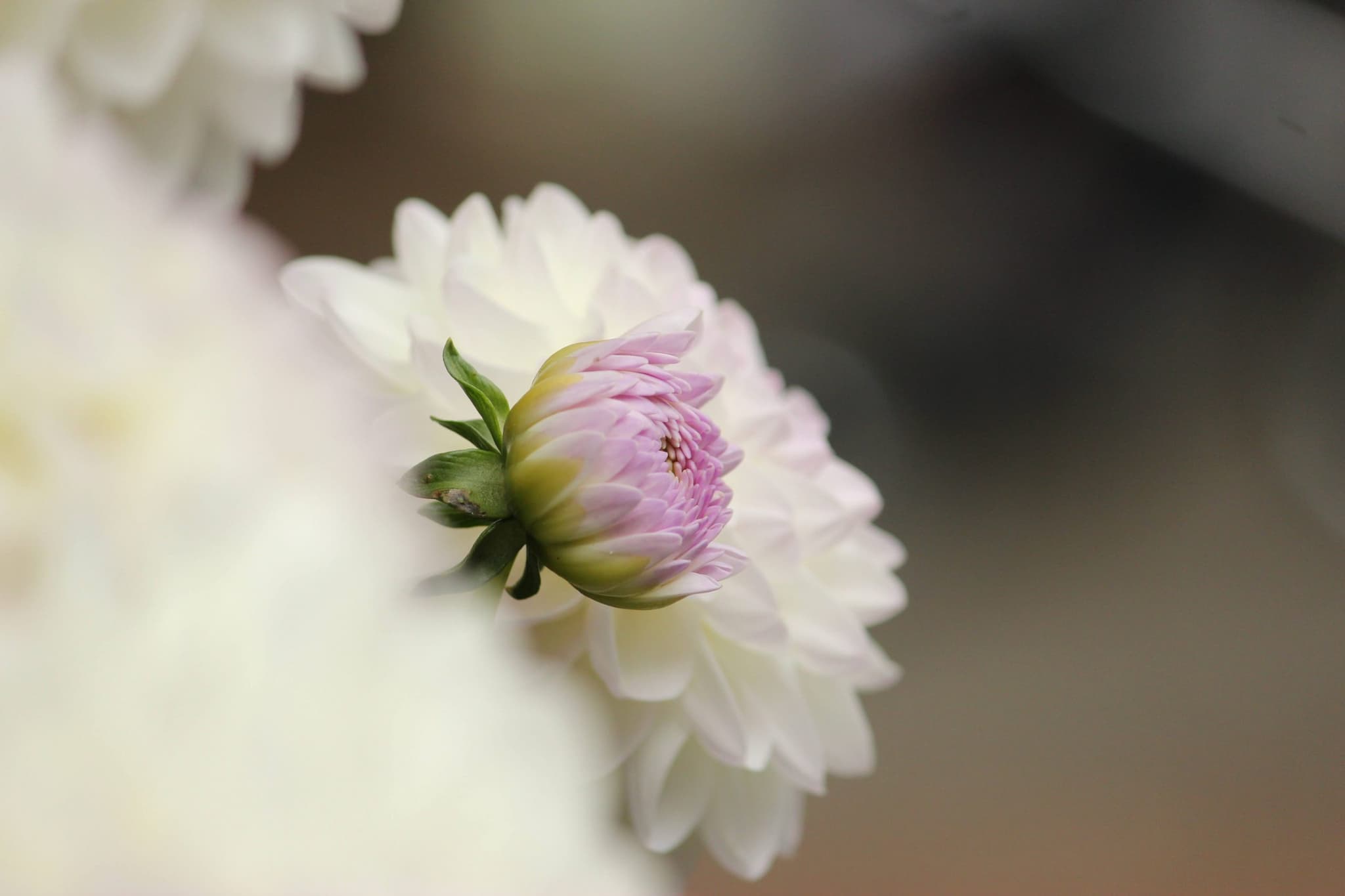 Exceeding rated ECEC service owner facing six charges in relation to 2018 incident