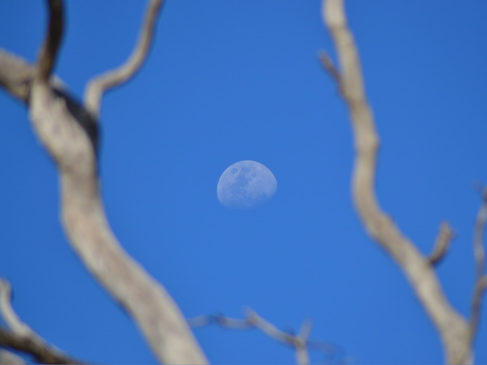 CQUniversity offers First Nations RHD Academy, opening up opportunities for ECEC