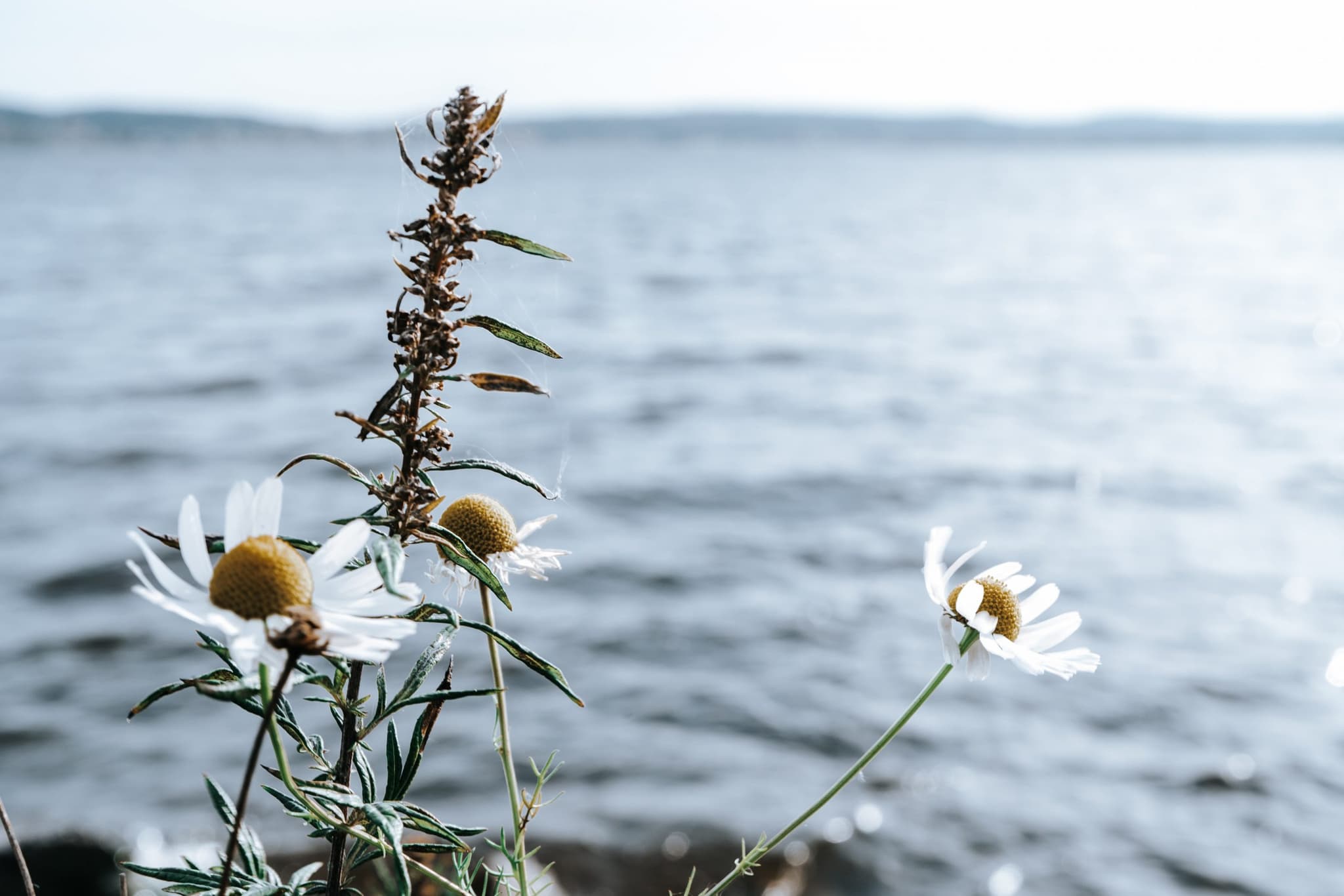 Goodstart Shailer Park given special grant to livestream NAIDOC event Our Nangara