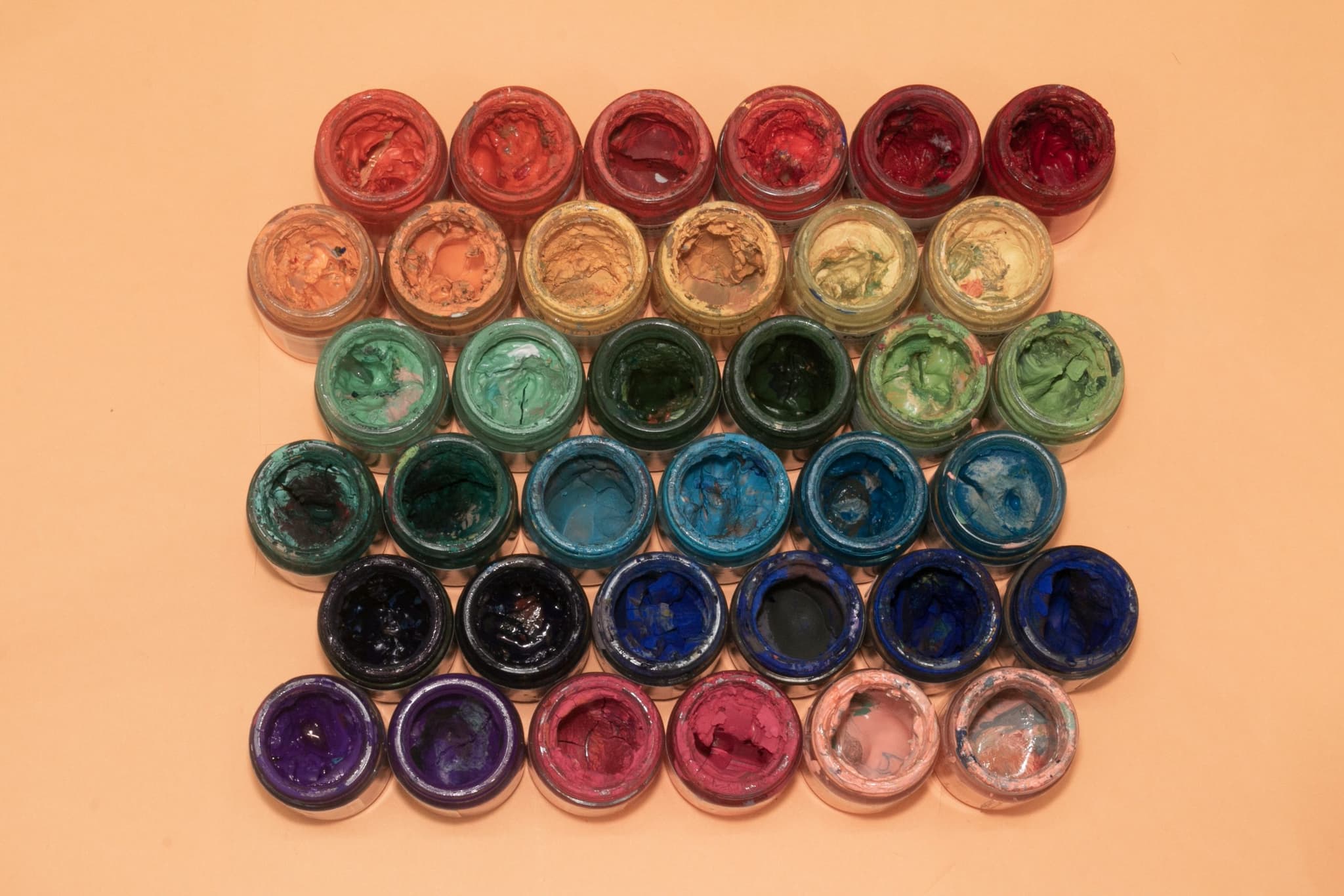 NDIS participants come together to celebrate International Day of People with Disability