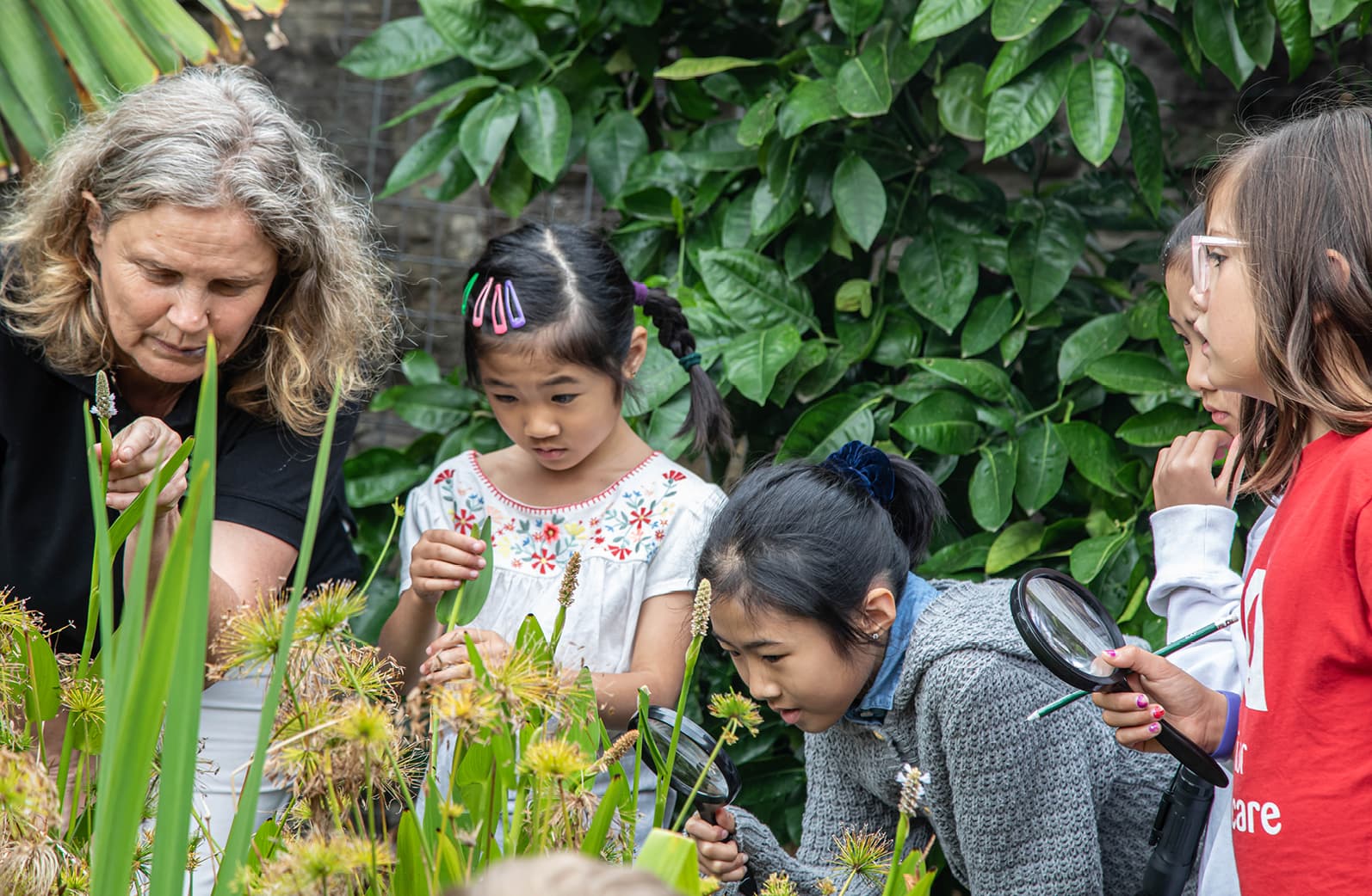 $1.5 million in grants on offer in 2021 Woolworths Junior Landcare Grant program