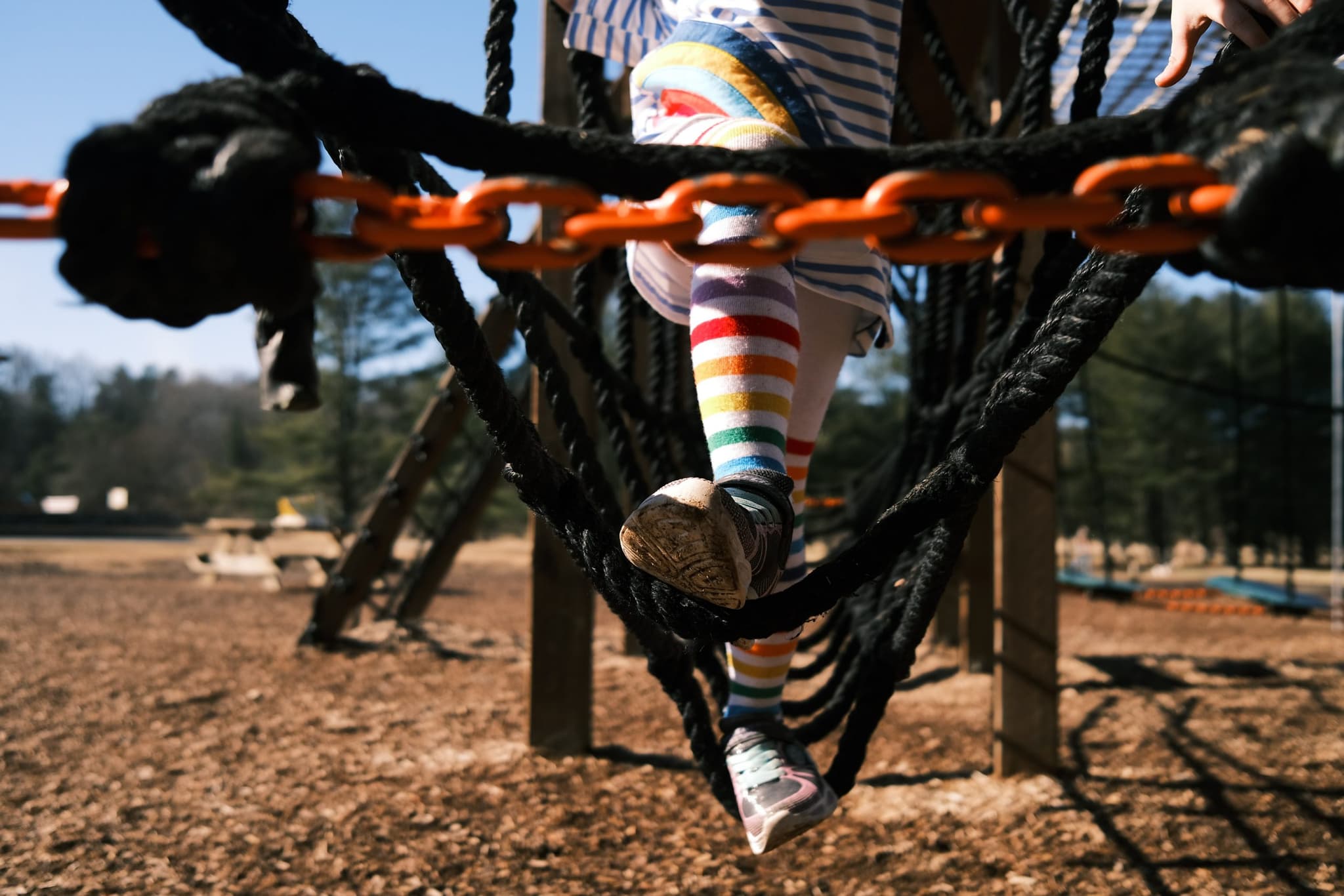 Sydney eastern suburbs ECEC provider ‘halves cost of care’ in order to retain families