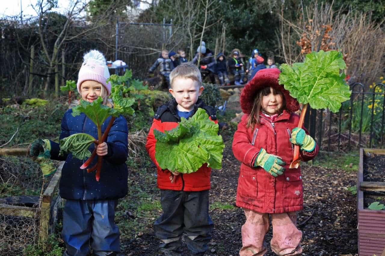 Froebel Trust program makes moves to boost Froebelian training in UK early years