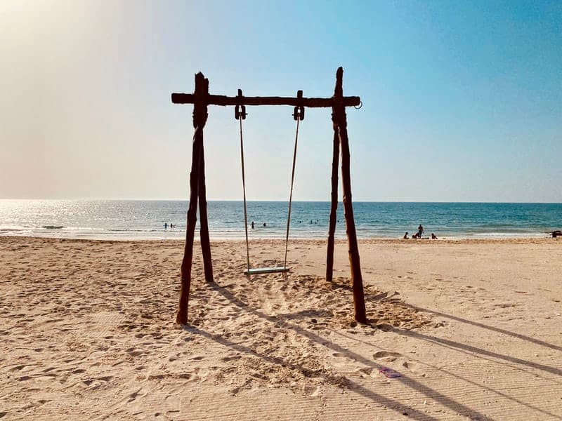 Xap continues to build momentum after historic milestone of winning Goodstart CMS tender