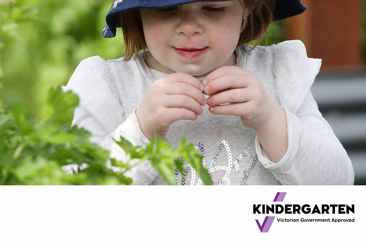 Victoria makes Kinder enrolment easier with new support services