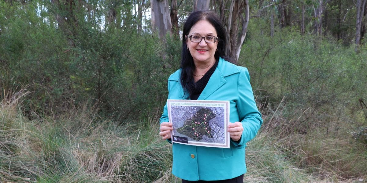 Camden ECEC children help to create Nest Box Trail to help residents connect to nature