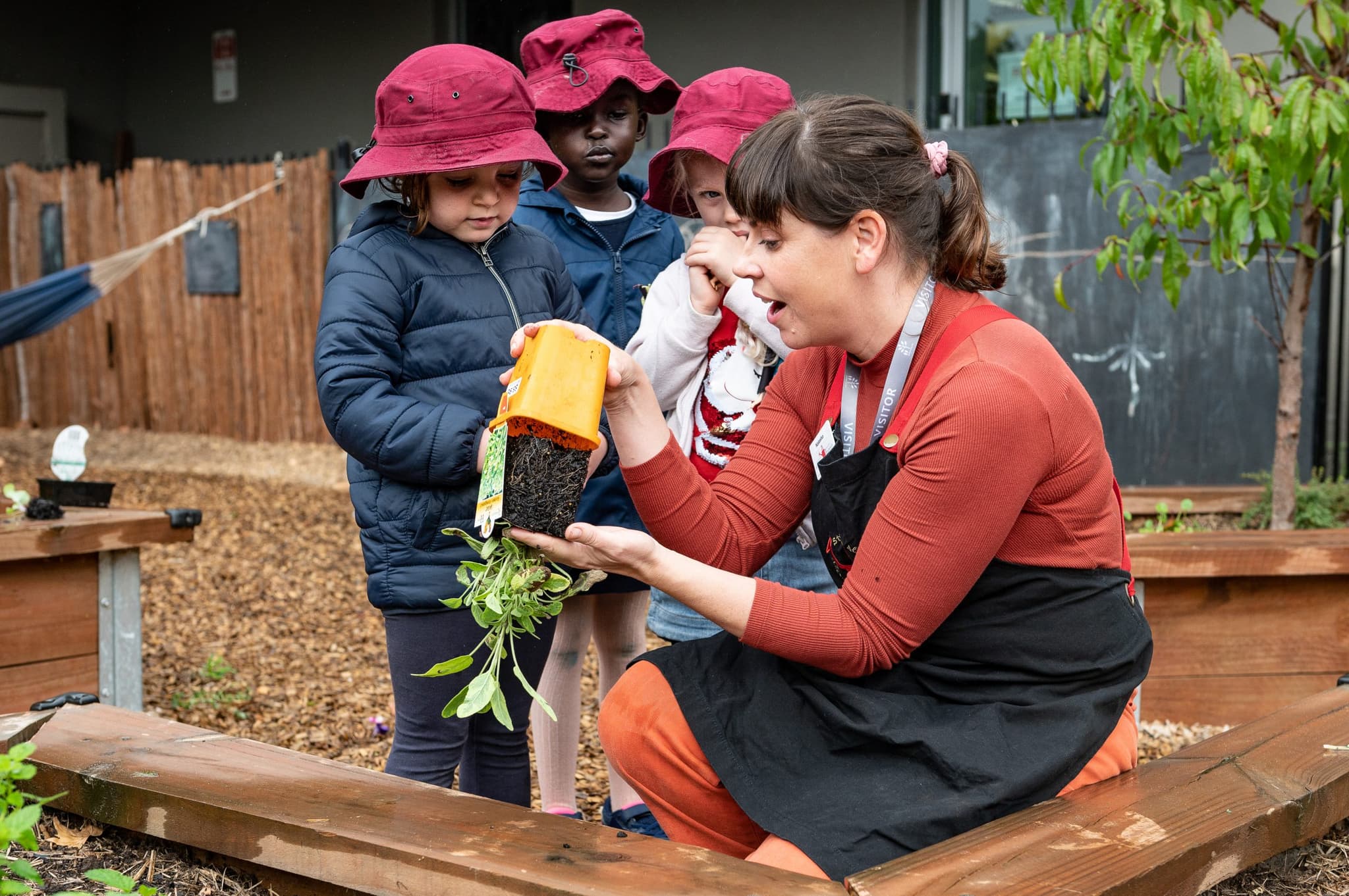 Meaningful engagement with families and communities – the Stephanie Alexander Kitchen Garden Program difference