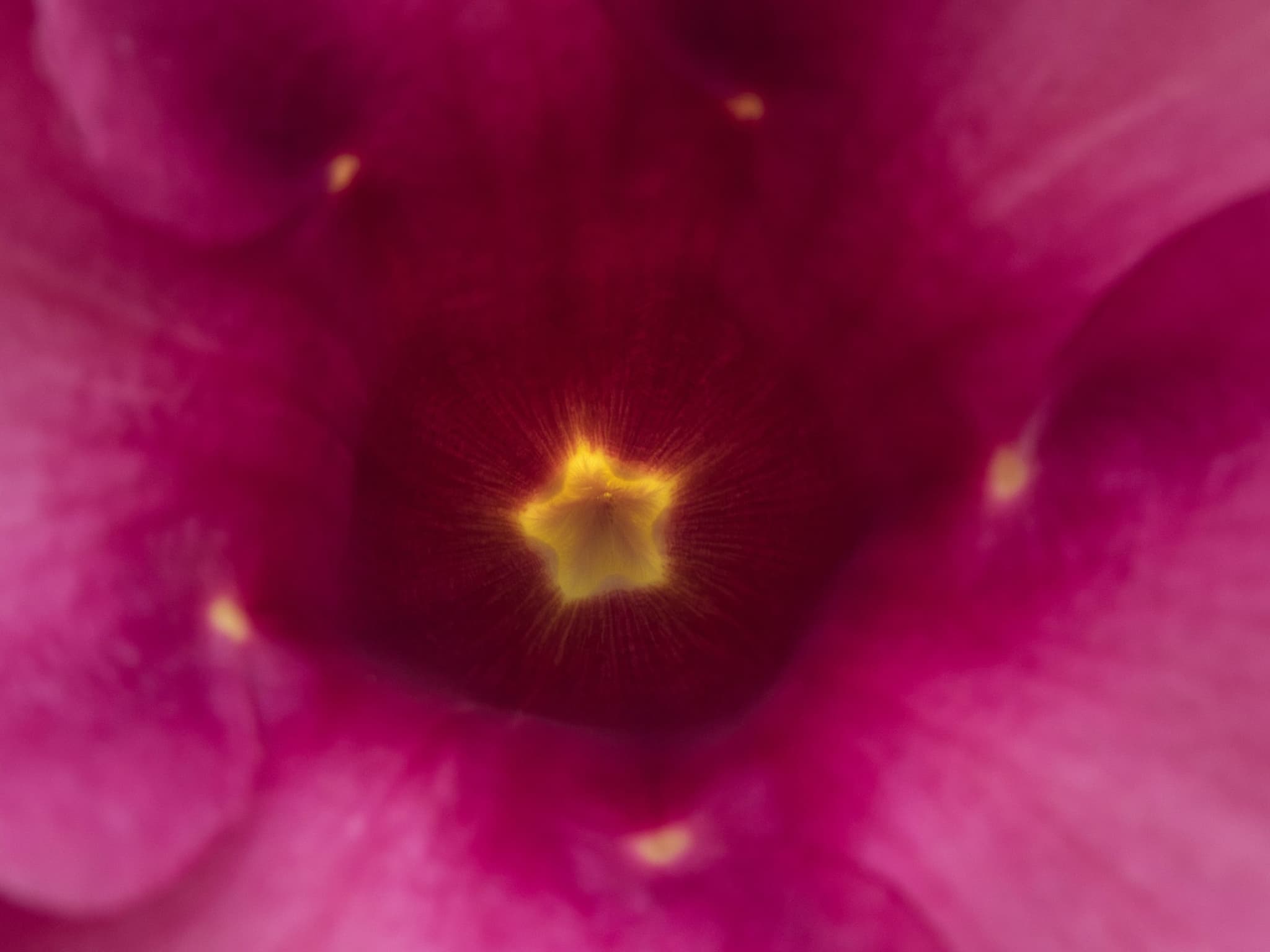 Balance Early Education has strong showing in 2021 Excellence in ECE Awards