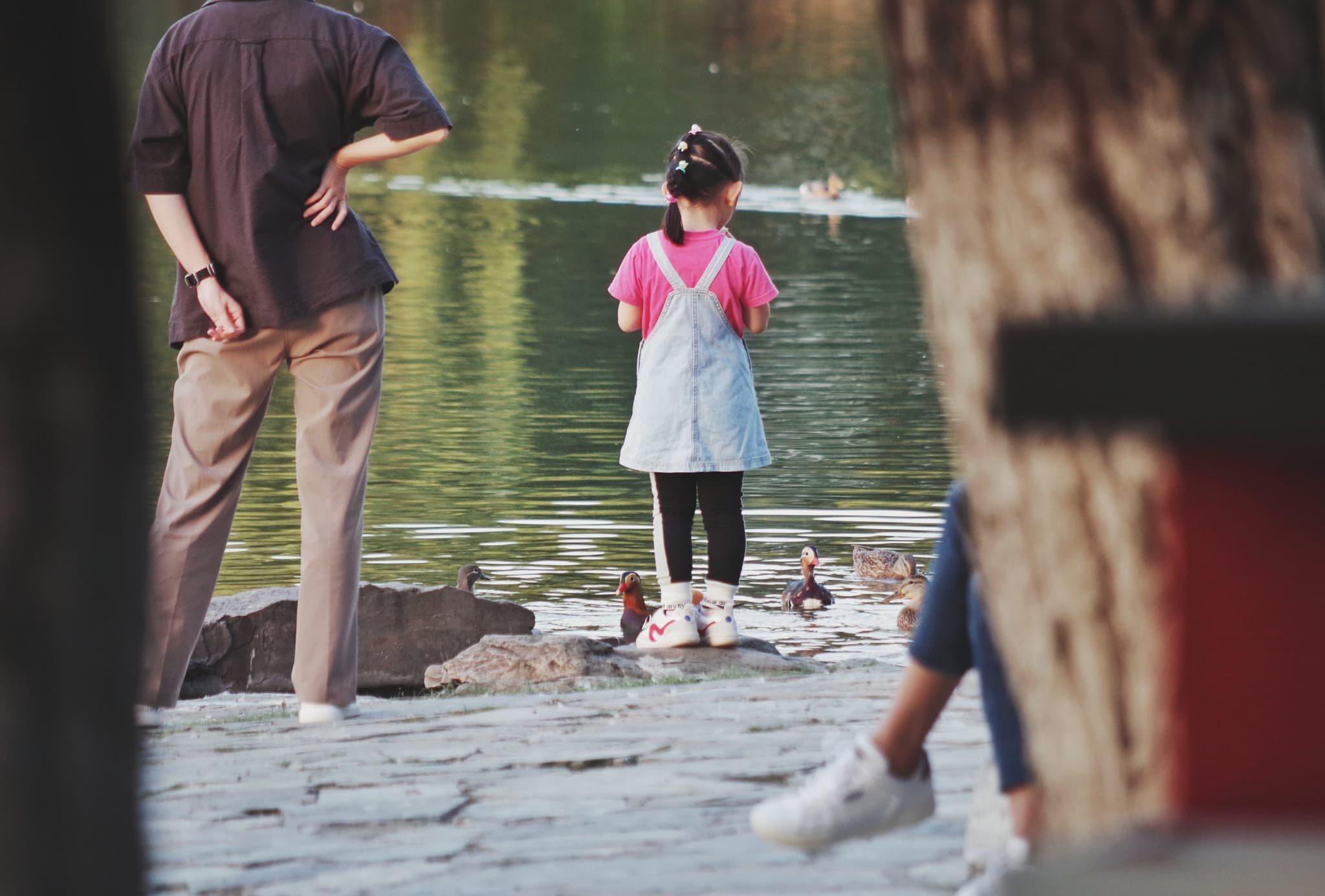 Executive functioning is much harder for children from chaotic households