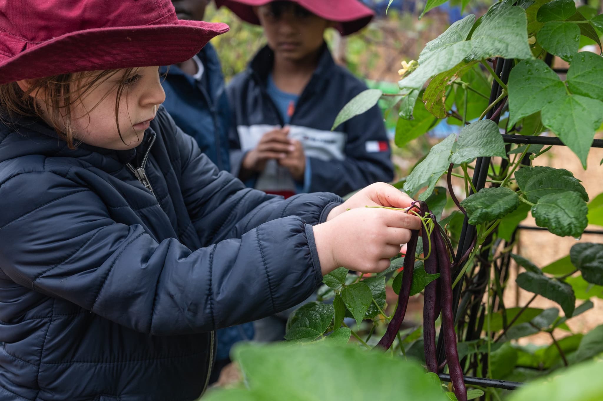 Stephanie Alexander Kitchen Garden program kicks off 2022 with ECEC expansion