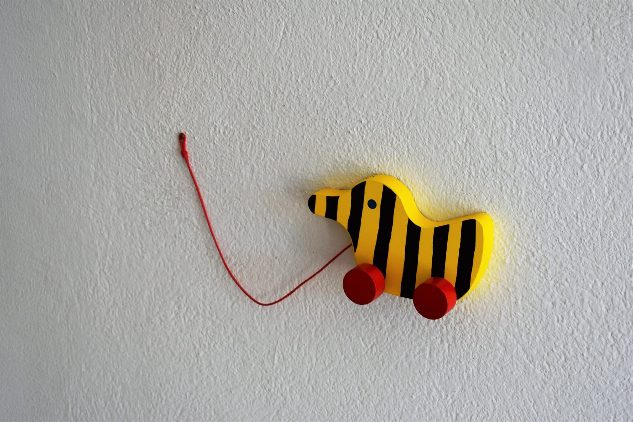 MEGT engaged to help young Gold Coast job seekers find work, including in ECEC