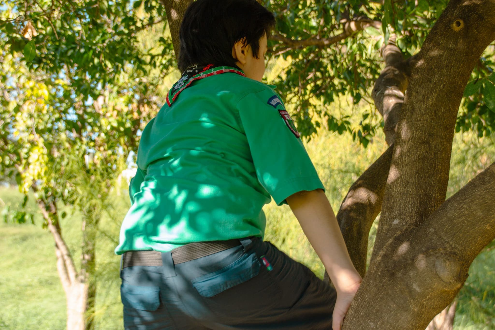 Are you working hard to connect children to nature? $15,000 prize on offer for educators