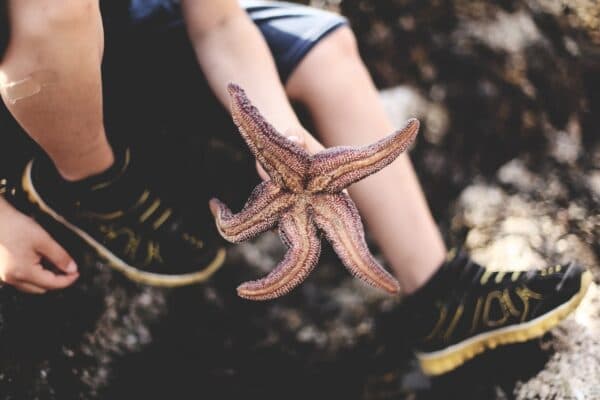 IEU NSW/ACT shares top tips for ECTs once they secure their first role