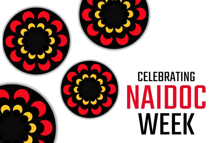 Tregear Preschool celebrates NAIDOC Week showcasing First Nations educators