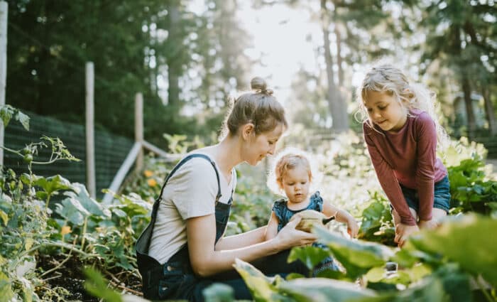 Stephanie Alexander Kitchen Garden Foundation welcomes new CEO