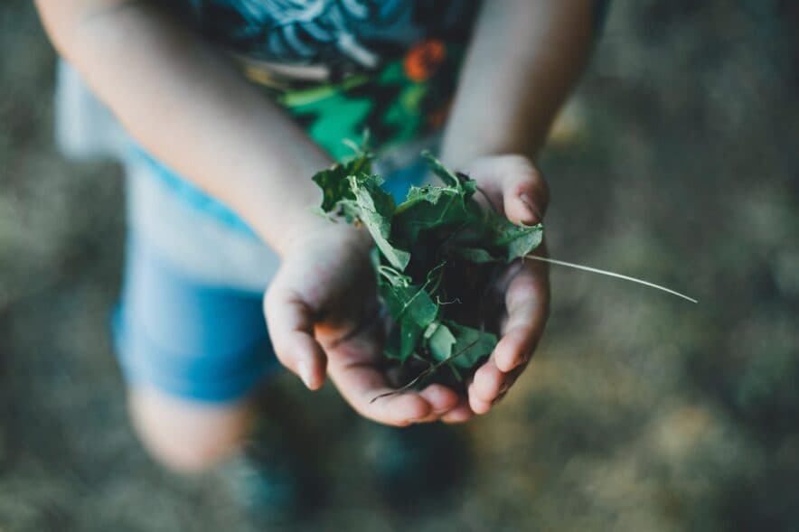 Owen Toyota works with Griffith Wiradjuri Aboriginal Preschool for National Tree Day